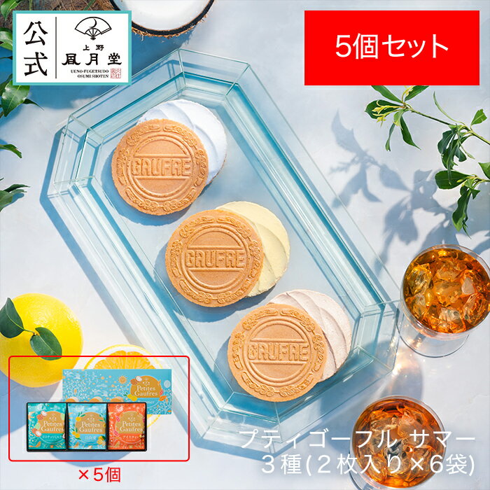 夏ギフト お中元 父の日 お菓子 スイーツ 焼き菓子 詰め合せ プチギフト プレゼント 送料無料 あす楽 /プティゴーフル サマー 3種(2枚入り×6袋) 　5個セット /日向夏 ココナッツミルク アイスティー 退職 内祝い 御礼 御祝 返礼 御挨拶 洋菓子 贈り物 個包装