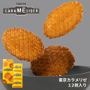 東京みやげ 東京土産 内祝い スイーツ 焼き菓子 プチギフト 詰め合わせ 個包装 あす楽 ウエハース /東京カラメリゼ 12枚入り/ 洋菓子 手土産 お返し プレゼント 御祝 御礼 結婚 出産 職場 