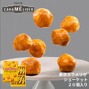 東京みやげ 東京土産 内祝い スイーツ 焼き菓子 ギフト 詰め合わせ 個包装 あす楽 プチチュー /東京カラメリゼ シューケット 20個入り/ 洋菓子 手土産 お返し プレゼント 御祝 御礼 結婚 出産 職場 会社