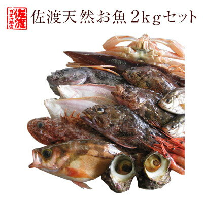 【送料無料】佐渡産 天然お魚セッ