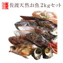 【送料無料 】　佐渡天然お魚セット約二キロ入って￥4280　とにかくいろんな魚が入ってます！！