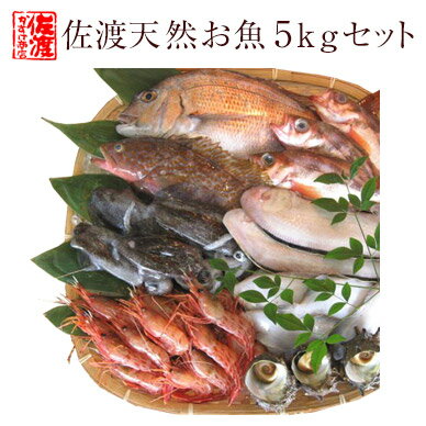 ボリュームタップリ 佐渡産 天然お魚セット約5kg入って￥6,580　とにかくいろんな魚が入ってます！