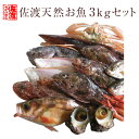 【送料無料】佐渡産 天然お魚セッ