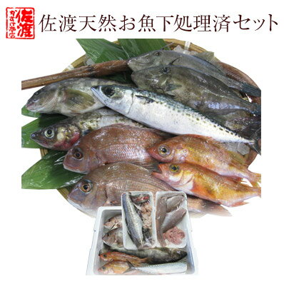 【送料無料 】　佐渡天然お魚セット　標準タイプ［下処理済］　￥5280　いろんなお魚はいってます！！