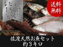 【送料無料 】 佐渡天然お魚セット約三キロ入って¥3480 とにかくいろんな魚が入ってます!!
