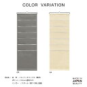 【2枚までなら送料290円(郵便)OK】選べる2色!ウォールストレージ 伝票ポケット(5+1P) W-120【お取り寄せ】