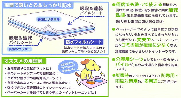 【マラソンp2倍】ワイド 厚型 ペットシーツ 制菌エコシーツプレミア2 Lサイズ ベー...