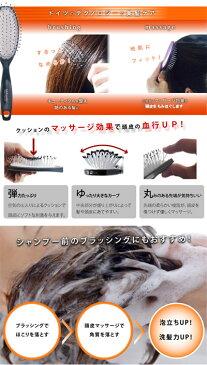 送料無料 「ドイツ製 ヘアブラシ Air Lastic (エアラスティック) 毎日のケアに!」プレゼントにもオススメ マッサージ 美髪 キューティクル ふんわり ヘッドスパ 弾力クッション クシ 櫛