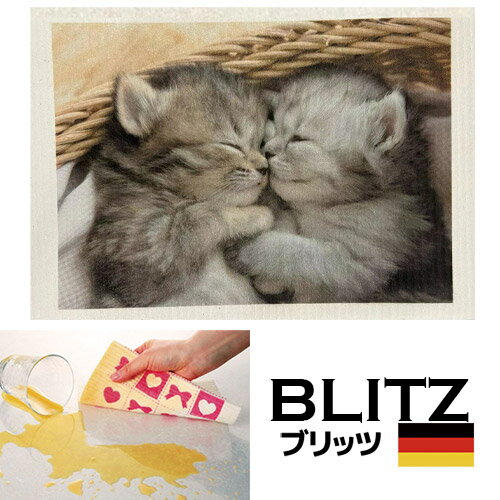 ふきん（1000円程度） ドイツのフキン★デザインブリッツblitz「661）PHOTO子猫」 【BLITZ ふきん 布巾 クロス ドイツ製 キッチン キッチンクロス キッチンワイプ スポンジワイプ ドイツ製フキン 布巾 ふきん 天然繊維】 ギフト 窓 ガラス 結露 水切りマット