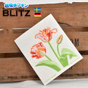 ヨーロピアンスタイル 今だけ299円! 「ドイツのフキン ブリッツ BLITZ スウェーデン製デザイン SIZE:200×170×5mm 」 キッチンワイプ ス...