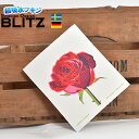 ヨーロピアンスタイル 今だけ299円! 「ドイツのフキン ブリッツ BLITZ スウェーデン製デザイン SIZE:200×170×5mm 」 キッチンワイプ ス...
