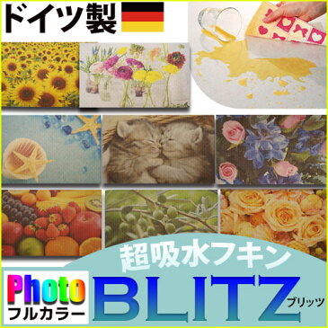 日本の優れた技術でプリントされた「フルカラーPHOTOプリントドイツのフキンブリッツ PHOTO BLITZ 」 大掃除 お歳暮 クロス キッチンワイプ スポンジワイプ 布巾 天然繊維 マイクロファイバー 洗車