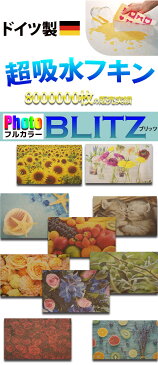 日本の優れた技術でプリントされた「フルカラーPHOTOプリントドイツのフキンブリッツ PHOTO BLITZ 」 大掃除 お歳暮 クロス キッチンワイプ スポンジワイプ 布巾 天然繊維 マイクロファイバー 洗車