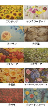 日本の優れた技術でプリントされた「フルカラーPHOTOプリントドイツのフキンブリッツ PHOTO BLITZ 」 大掃除 お歳暮 クロス キッチンワイプ スポンジワイプ 布巾 天然繊維 マイクロファイバー 洗車