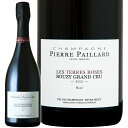 シャンパン Pierre Paillard ピエール パイヤール レ テール ロゼ NV 750ml 【正規輸入品】 ※沖縄・離島は別途送料