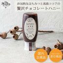 はちみつ チョコレート ハニー チューブ ボトル 280g 470g マイハニー 蜂蜜 非加熱 アカシア ハンガリー 産 栄養 成分 表示 オーガニック 送料無...