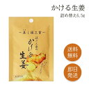 かける生姜 詰め替え 6.5g 生姜 顆粒 生姜パウダー しょうがパウダー 国産 ショウガパウダー しょうが 粉 調味料 うれし野ラボ 詰め替え 送料無料 まと...