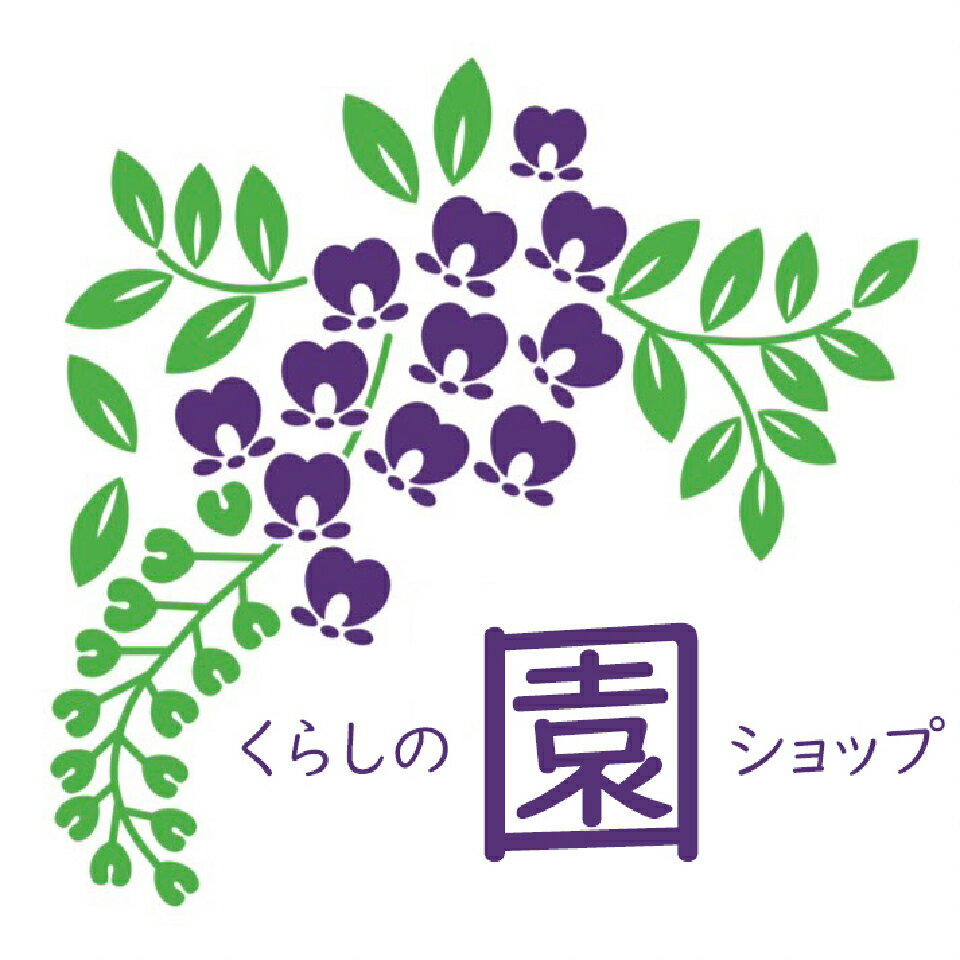 Shop icon