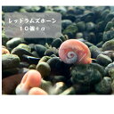 水草トリミング お手入れ 5点セット 専用 ケース付き ステンレス製 水草 熱帯魚 飼育