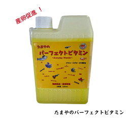 【送料無料】 たまやのパーフェクトビタミン メダカ 産卵促進 剤 餌 ミジンコ ゾウリムシ タマミジンコ オオミジンコ 生餌 めだか 針子 冬越 メダカ