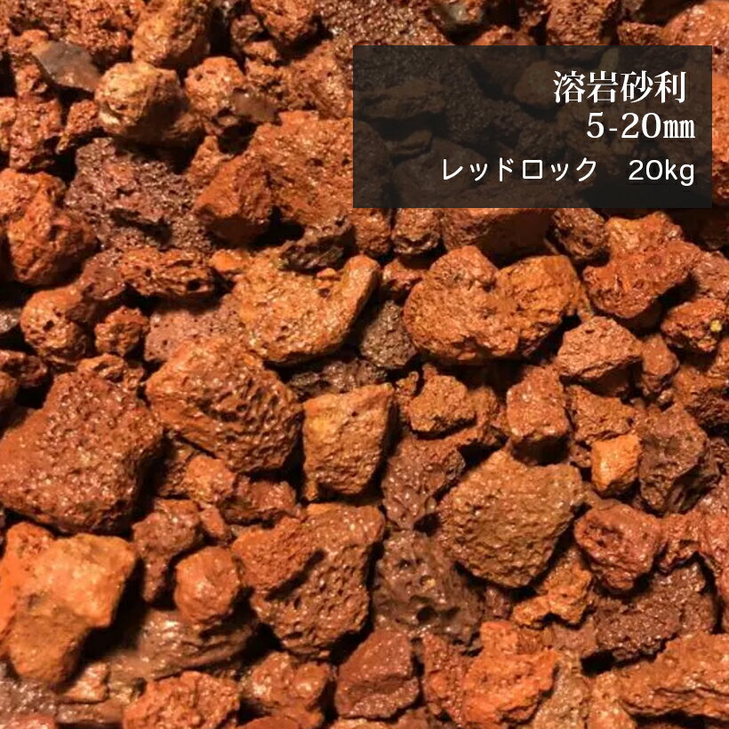 一点物　緋晶石　親石　60cm水槽用　854176【HLS_DU】　関東当日便