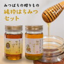 はちみつ詰め合わせ TM-30 450g × 2個 藤井養蜂場 蜂蜜 純粋はちみ みつばち お中元 セット ギフト 贈り物 お土産 お取り寄せ パック 詰め合わせ 母の日 父の日 フジボー