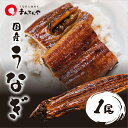 うなぎ 蒲焼 大 1尾 まんてんや 福岡養鰻 国産 美味しい 特大 鰻 冷凍 パック 冷凍うなぎ セット かば焼き 高級 ギフト 贈り物 お取り寄せグルメ お土...