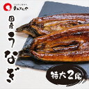 うなぎ蒲焼 特大 2尾 セット まんてんや 福岡養鰻 国産 うなぎ 鰻 冷凍 冷凍うなぎ かば焼き お中元 セット ギフト 贈り物 お取り寄せグルメ お土産 お...