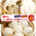 揚子江 ミニ豚まん 48個 セット 大容量 業務用 母の日 ギフト 中華 肉まん にくまん ぶたまん ミニ 冷凍 贈り物 北九州名物 お取り寄せ 中華まん 中華...