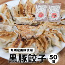 黒豚餃子 50個 セット 美味しい ぎょうざ ギョウザ 家庭用 食品 点心 国産 送料無料 餃子 九州 黒豚 取り寄せ 福岡 惣菜 冷凍 御礼 御祝 ギフト プ...