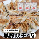 黒豚餃子 75個 セット ぎょうざ ご当地 餃子 九州 黒豚 取り寄せ 福岡 点心 冷凍 お歳暮 御礼 御祝 惣菜 ギフト プレゼント 母の日 父の日 お中元 ...