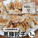 黒豚餃子 メガ盛り 1kg セット 美味しい ぎょうざ ギョウザ 家庭用 食品 点心 点心セット 惣菜 国産 送料無料 餃子 九州 黒豚 取り寄せ 福岡 冷凍 ...