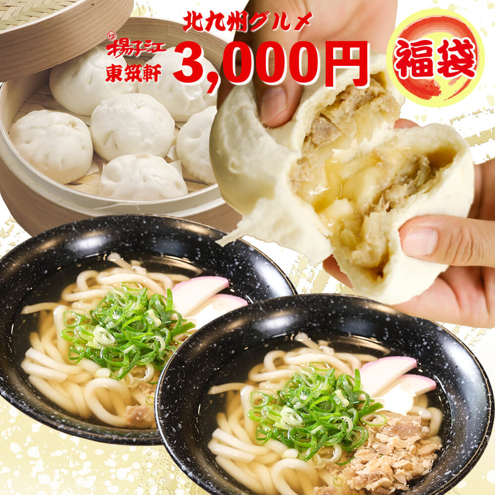北九州グルメ 福袋 3000円【 揚子江 豚まん 東筑軒 うどん セット 】大きい 肉まん × 1個 ミニ肉まん × 6個 冷凍うどん × 2食 中華まん 中華まんじゅう 中華饅頭 冷凍 食品 お取り寄せ お土産 お歳暮 お年賀 御礼 御祝 ギフト プレゼント 北九州 フジボー