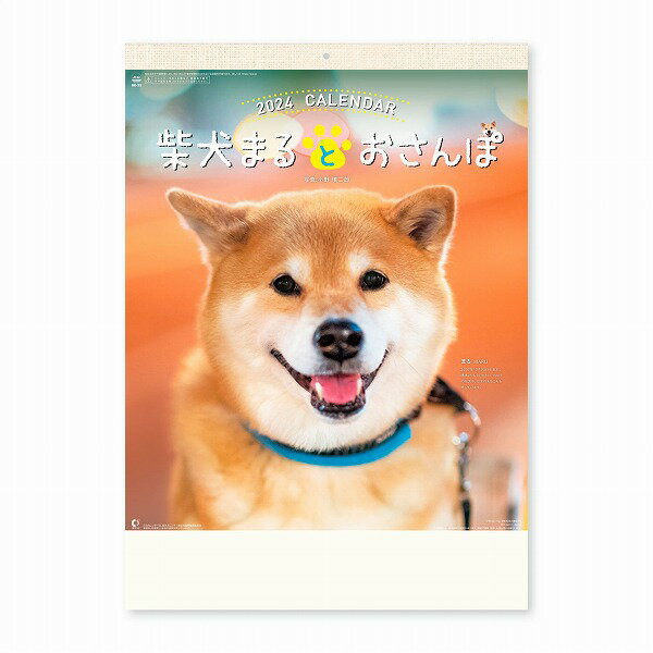 【在庫処分価格】新日本カレンダー ＜ 2024年 ＞柴犬まるとおさんぽカレンダー NK8035 アウトレット
