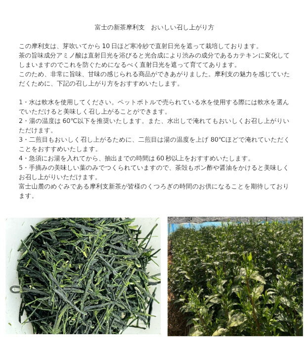 摩利支(まりし)新茶 10g 一煎パック 一煎...の紹介画像3