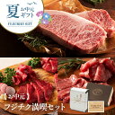 【お中元ギフト】ふじ馬刺し満喫セット 上赤身80g×2 トロ80g A5-A4藤彩牛サーロインステーキ 200g 九州産黒毛和牛 牛肉 馬肉 ギフト プレゼント 夏ギフト【フジチク】