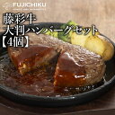  肉汁たっぷり 黒毛和牛 大きな ハンバーグ　200g×4個 藤彩牛 弁当 おかず 冷凍 和牛ハンバーグ