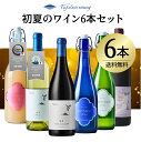 【送料無料】初夏のワイン6本セット フジクレールワイナリー ワイン 赤ワイン 白ワイン 無濾過 辛口 国産 日本 山梨 甲州 プレゼント