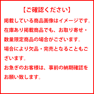 送料無料(一部離島除く) DataSystem データシステム エンブレム フロントカメラキット トヨタ ハイエース(2004〜 200系)