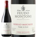 赤ワイン Feudo Montoni フェウド モントーニ ネレッロ マスカレーゼ ロッソ テーレ ディ エリオ 2021 750ml 【正規輸入品】 ※沖縄・離島は別途送料