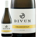 白ワイン Divum ディヴァム シャルドネ 2019 750ml 【正規輸入品】※沖縄・離島は別途送料