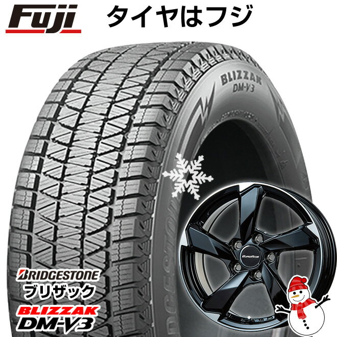 【新品】輸入車用 アウディQ5（FY 8R） スタッドレスタイヤ ホイール4本セット 235/60R18 ブリヂストン ブリザック DM-V3 DMV3 ユーロアクシス クロスエッジ 18インチ(送料無料)