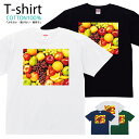 フルーツ 果物 ぶどう リンゴ Tシャツ プリントTシャツ おしゃれ 半袖 シャツ レディース メンズ キッズ コットン 綿100% プリント クルーネックカットソー 親子ペア おそろい おそろコーデ アメカジ ユニセックス tシャツ ゆったり 通気性 吸水性 5.6oz zakka043-0061