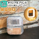 オーダーメイド センサーライト 人感センサーライト フットライト コンセント式 LEDセンサーライト 屋内 足元灯 人感 点灯時間調節可 自動点灯 消灯 省エネ 玄関 廊下 寝室 トイレ 階段 明るい おしゃれ 間接照明 子供部屋 介護 コードレス 明るさ調整 zakka036-order-made