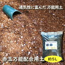 fujiengei:10003795のサンプル画像1