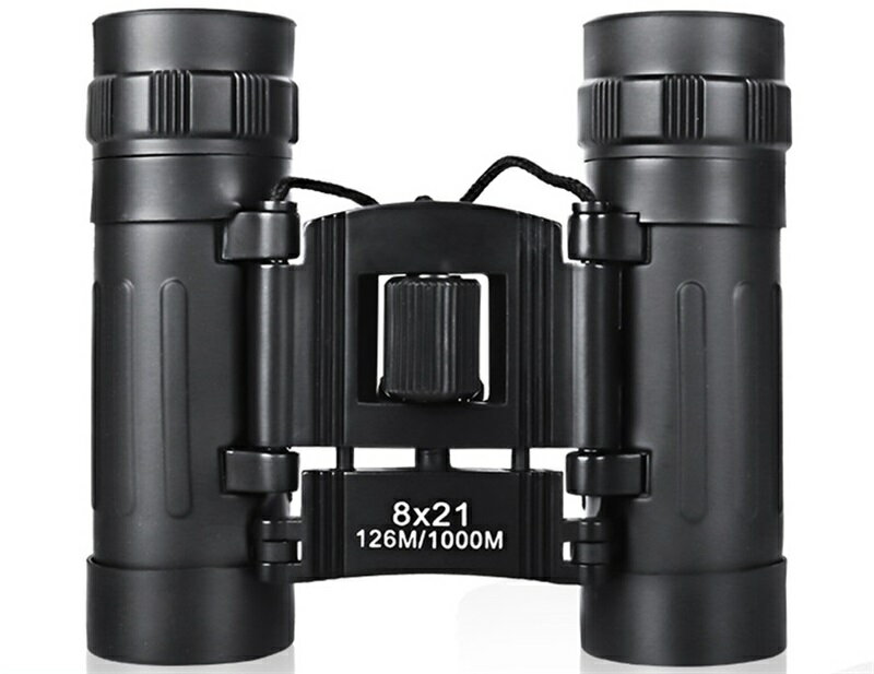 望遠鏡 双眼鏡 8×21 DH ダハプリズム式 8倍 21口径 ズーム 長距離 折りたたみ式 ミニ 望遠鏡 子供