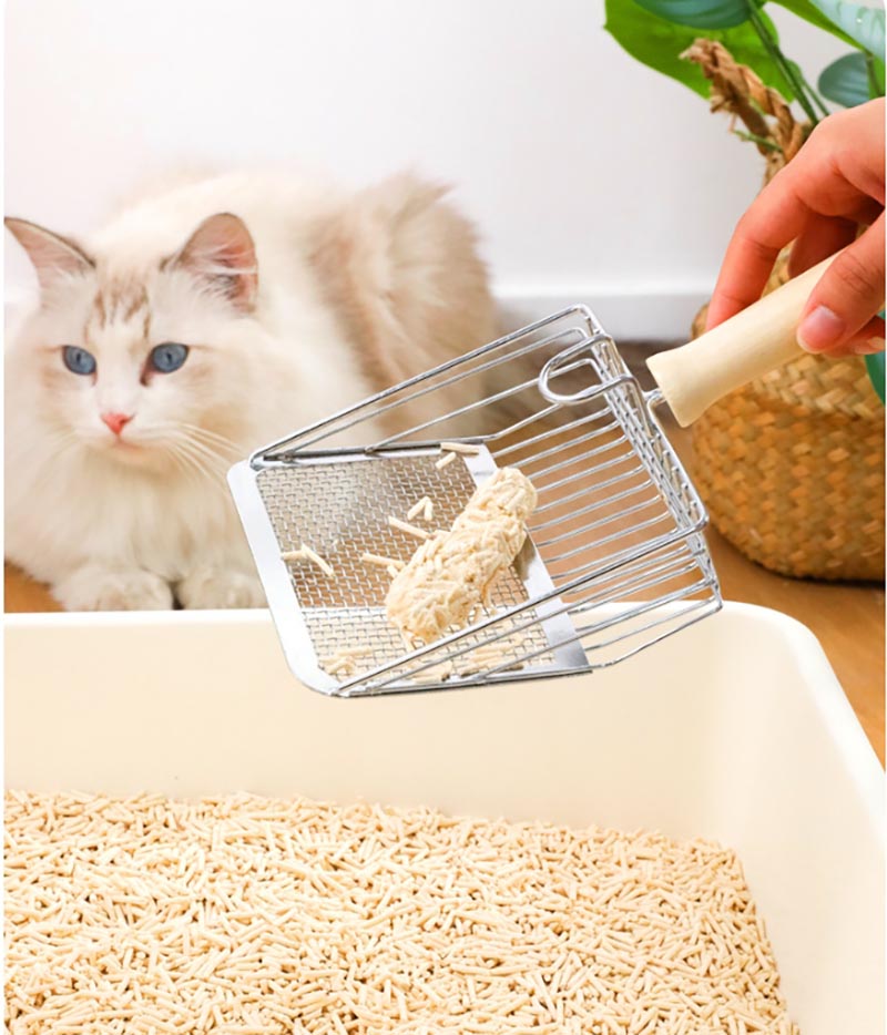 ǭ�������å� ����٥� ���ƥ�쥹�� 2���������� ���� �� ��Ȥηڸ�ǭ������٥� �ͥ��ȥ����ѥ����å�