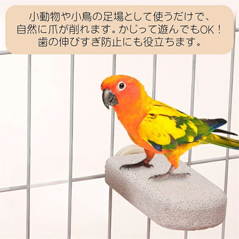 モモンガ ハムスター 爪研ぎ デグー 小動物 ステップ 軽石 かじり木 鳥 止まり木 ...