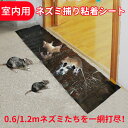 ネズミ捕り 粘着シート 0.6m 1.2m 長い 大判 業務用 室内用 ホットメルト 耐久性 粘着板 繰り返し使用可能 10枚セット