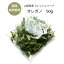 【オレガノ】国産 フレッシュハーブ 農薬不使用 50g ハーブ 生 シングルハーブ イタリア トマト パスタ ピザ パン スパイス ハーブティー お茶 おうち時間 デカフェ ノンカフェイン 富士山 山梨県産 herb tea oregano